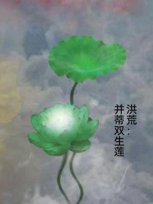 洪荒：并蒂雙生蓮