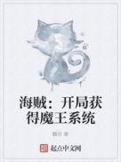 海賊：開局獲得魔王系統