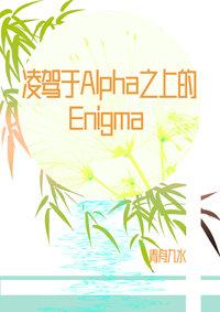 淩駕于Alpha之上的Enigma