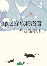 hp之穿成梅洛普