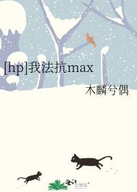 [hp]我法抗max