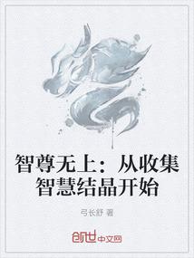 智尊無上：從收集智慧結晶開始